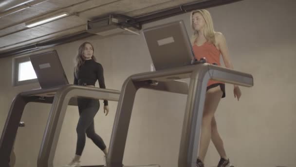 Dos mujeres caucásicas jóvenes caminando en cintas de correr y hablando. Amplio tiro de confiado rubio y morena delgadas deportistas haciendo ejercicio en el gimnasio. Estilo de vida saludable, ejercicio, deporte, fitness . — Vídeos de Stock