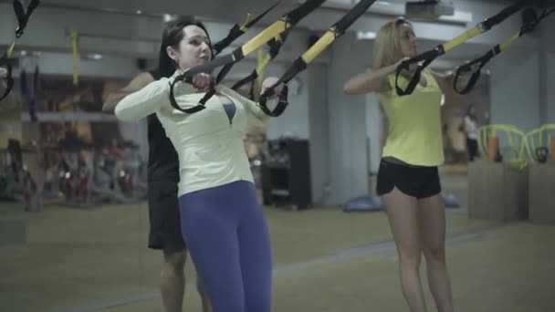 Entrenamiento de entrenadores profesionales atléticos jóvenes caucásicos con el uso de correas TRX. Inyección intermedia de hombres y mujeres deportivos que hacen ejercicio en el gimnasio con entrenador personal. Deporte, bienestar, estilo de vida . — Vídeo de stock