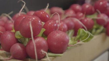 Market rafındaki lezzetli vejetaryen kırmızı turpuna yakın çekim. Süpermarkette satılık lezzetli vejetaryen yemekleri. Sağlıklı beslenme, sağlıklı beslenme, vitamin ürünleri. S-log 2.