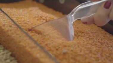 Bakkaldan turuncu mercimek toplayan Kafkas kadının aşırı yakın çekimi. Tanınmayan genç bir kadın marketten sağlıklı bir baklagil alıyor. Ticaret, yaşam tarzı, sağlıklı beslenme. S-log 2.