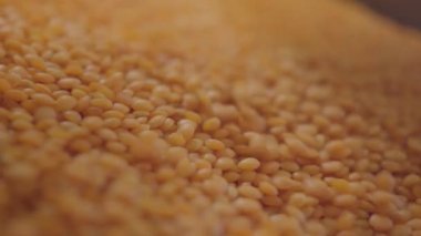 Portakallı mercimek marketteki raftaki kutuya düşüyor. Perakende dükkanında satılık yenilebilir baklagil. Tüketim, gıda hasadı, sağlıklı beslenme, vejetaryenlik. S-log 2.