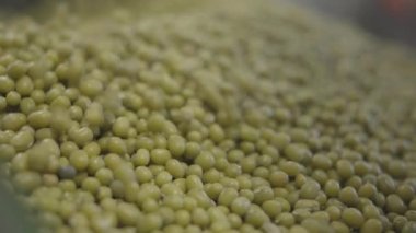 Markette bir sürü yeşil mercimek. Süpermarkette yenilebilir baklagillere yakın çekim. Pişmemiş malzemeler, diyet, vejetaryenlik, protein gıdaları. S-log 2.