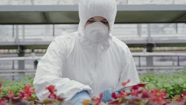 Scrupulous kvinnlig biolog i respirator tittar på växter i växthus. Porträtt av vit kvinna i skyddande uniform undersöker plantor eller blommor. Livsstil, vetenskaplig forskning. — Stockvideo