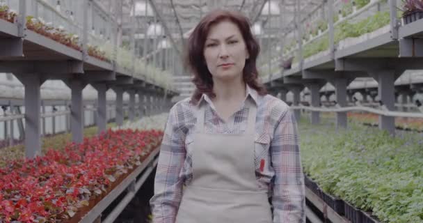 Ritratto di donna fiduciosa positiva in posa in serra. Metà adulto bruna dipendente agronomo mani incrociate e guardando la fotocamera. Affari, giardinaggio, orticoltura. Cinema 4k ProRes HQ. — Video Stock