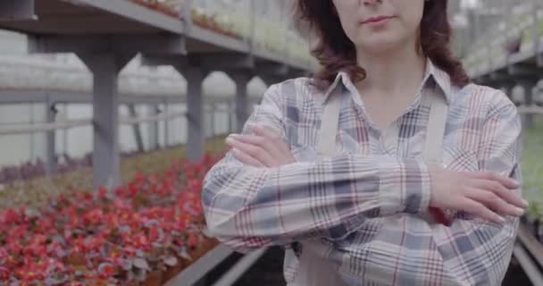 Oigenkännlig mitten av vuxen kaukasisk kvinna i förkläde korsar händer och ler. Positiv kvinnlig anställd poserar i växthuset. Vegetarianism, jordbruk, jobb. Bio 4k ProRes HQ. — Stockvideo