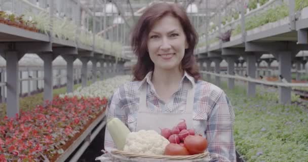 Positive kaukasische Frau streckt Korb mit Gemüse in die Kamera und lächelt. Porträt einer mittleren erwachsenen brünetten Angestellten, die im Treibhaus posiert. Landwirtschaft, Landwirtschaft. Cinema 4k ProRes Hauptquartier. — Stockvideo