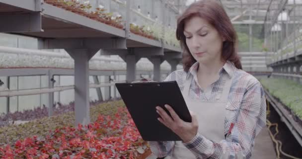 Potret wanita Kaukasia sibuk mencatat dan tersenyum di depan kamera di rumah kaca. Agronomis pertengahan-dewasa bekerja di hothouse. Bisnis, gaya hidup, budidaya. Sinema 4k ProRes HQ. — Stok Video