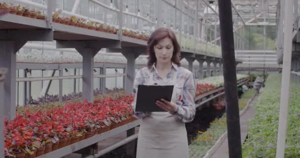 Femme sérieuse regardant des fleurs dans des pots et prenant des notes. Employé caucasien confiant vérifiant les plantes en serre. Hothouse, phytothérapie, profession. Siège social Cinema 4k ProRes. — Video