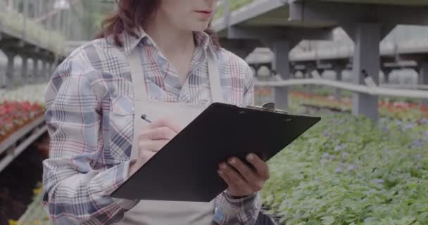 Unerkennbarer Mitarbeiter macht sich Notizen und betrachtet Pflanzen im Gewächshaus. Selbstbewusste professionelle kaukasische Agronomin Biologin, die im Gewächshaus arbeitet. Cinema 4k ProRes Hauptquartier. — Stockvideo