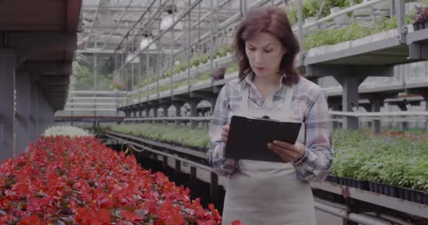 Upptagen vacker vit kvinna kollar röda blommor i krukor i växthus. Porträtt av koncentrerad biolog med anteckningar. Agronomi, trädgårdsodling, affärer. Bio 4k ProRes HQ. — Stockvideo