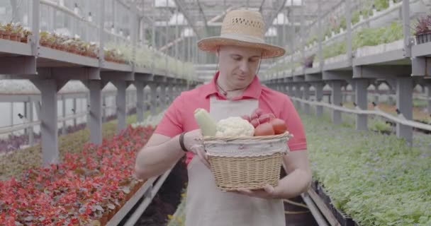 Elégedett fehér férfi szalmakalapban, üvegházban pózol kosárral. Egy mosolygó férfi dolgozó portréja, aki organikus zöldségeket henceg a melegházban. Gazdálkodás, agronómia, kertészkedés. Cinema 4k ProRes főhadiszállás. — Stock videók