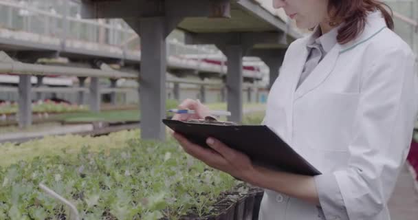 Biólogo irreconocible en bata médica examinando plantas en invernadero. Mujer seria caucásica tocando hojas y escribiendo. Negocios, ciencia, agronomía. Sede del cine 4k ProRes . — Vídeo de stock