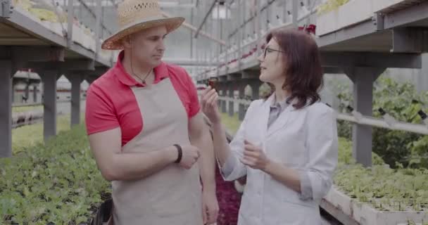 Mujer experta dando botella con cannabis medicinal al agricultor en invernadero. Retrato de científico caucásico confiado discutiendo medicina herbal con el hombre en invernadero. Sede del cine 4k ProRes . — Vídeo de stock