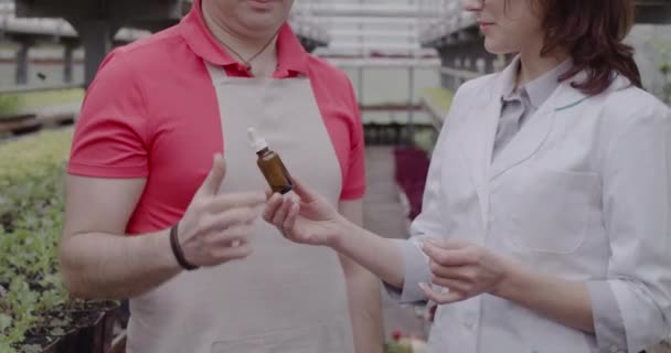 Mujer irreconocible dando cannabis medicinal a hombre caucásico en invernadero. Científica y agricultora discutiendo el resultado del cultivo. Concepto de medicina herbal. Sede del cine 4k ProRes . — Vídeos de Stock