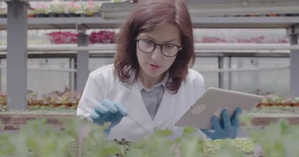 Mujer seria con guantes protectores escribiendo en la tableta. Retrato de mujer bióloga agrónoma caucásica examinando plantas en invernadero. Cultivo, medicina herbal, investigación. Sede del cine 4k ProRes . — Vídeo de stock