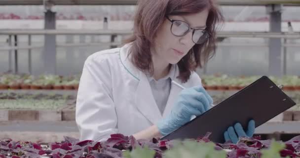 Sebevědomá žena v rukavicích a brýlích, dotýkající se listů rostlin a píšící poznámky. Portrét bělošské agronomky pracující ve skleníku. Cinema 4k ProRes HQ. — Stock video