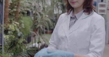 Tıbbi cüppeli, tanınmayan bir kadının mavi koruyucu eldivenlerini çıkarmasından bıktım. Serada seranın arka planında duran kadın bilim adamı. Sera, sera. Sinema 4k ProRes Merkezi.