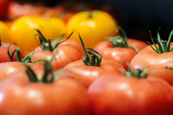 En gjeng ferske, røde og gule tomater i matbutikken. Nærbilde av økologisk sunn mat på supermarkedet. Assortering, sunn mat, sunn mat. – stockfoto