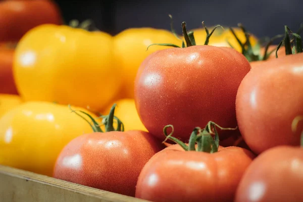 Primer plano de tomates rojos húmedos con verduras amarillas en el fondo. Productos agrícolas orgánicos frescos sabrosos que yacen en el estante en la tienda de comestibles. Comida saludable, consumo de vitaminas, surtido . Imagen De Stock