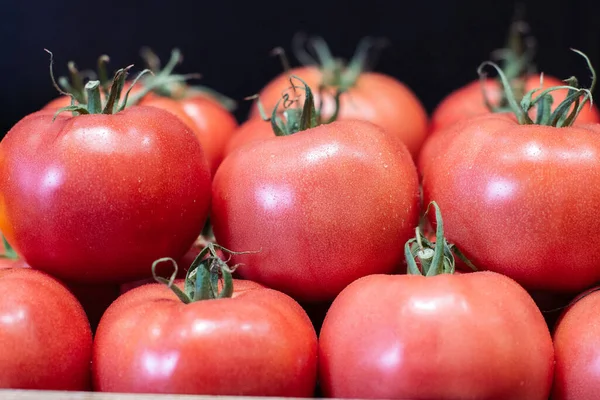 Красные помидоры с капельками воды на черном фоне. Крупный план вкусных свежих органических овощей на полке магазина для продажи. Вегетарианская еда, здоровое питание, полезный продукт . Стоковое Изображение