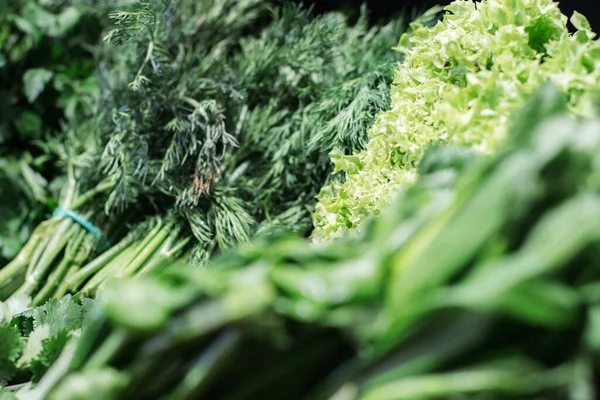 Sortiment af grønne områder i købmandsbranchen close-up. Grøn salat på hylde i supermarkedet. Sund vegansk mad, vitamin sæsonbestemt spise, ernæring. Royaltyfrie stock-fotos