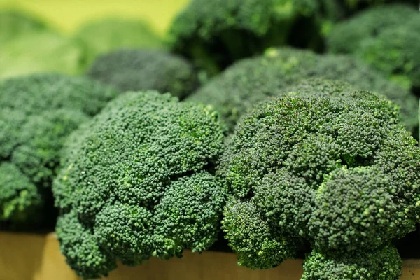 Green broccoli bunch close-up. Fresh organic vitamin vegetable in grocery or supermarket. Superfood, healthy eating, greenery, cabbage family. Stock Photo