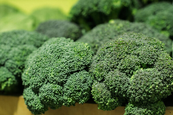 Green broccoli bunch close-up. Fresh organic vitamin vegetable in grocery or supermarket. Superfood, healthy eating, greenery, cabbage family. Stock Image