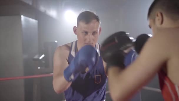 Jovens boxeadores caucasianos começam a lutar no ringue de boxe com luz de fundo. Retrato de desportistas sérios confiantes treinando com neblina em segundo plano. Esporte de combate, estilo de vida, artes marciais . — Vídeo de Stock