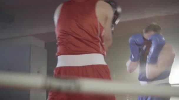 Unga starka idrottsmän slåss på dimmiga boxning ring i bakgrundsbelysning. Sparar på självsäkra manliga boxare i haze gym. Träning, självförtroende, kampsport, bekämpa sport. — Stockvideo