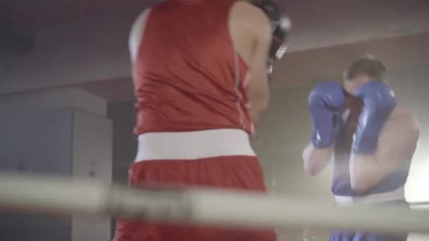 Jóvenes deportistas fuertes luchando en el anillo de boxeo de niebla en contraluz. Sparring of confident male boxers in haze gym (en inglés). Entrenamiento, confianza, artes marciales, deporte de combate . — Vídeos de Stock