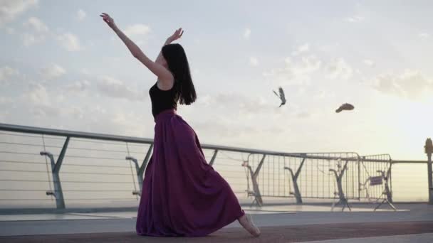 Široký záběr štíhlé elegantní baletky, ohýbající se dozadu, jak ptáci odlétají. Zadní pohled na profesionální klasickou baletní tanečnici tančící na mostě při letním východu slunce nebo západu slunce. — Stock video