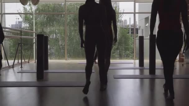 Back view of silhouettes of group of people entering gym and start yoga training. Confident adult Caucasian sportsmen and sportswomen exercising in dark premises with floor-to-ceiling window. Fitness. — Stock Video