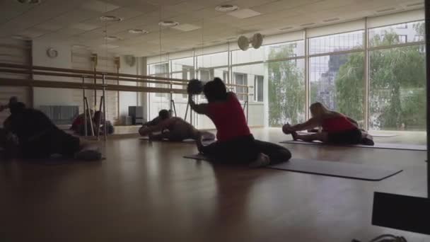 Fem sportiga människor sitter på idrottsmatta och böja hålla bollen i händerna. Baksidan beskådar av kaukasiska manar och kvinnor som tränar i yogapose i gym. Grupp självsäkra passade människor som tränar inomhus. — Stockvideo