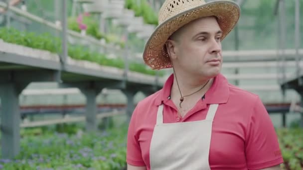 Retrato de hombre caucásico medio adulto con sombrero de paja mirando alrededor en invernadero y sonriendo. Trabajador positivo de pie en el invernadero. Jardinería, biología, estilo de vida . — Vídeos de Stock