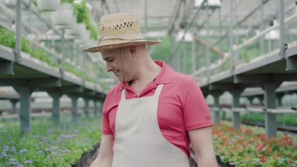 Contadino o biologo fiducioso controllando vasi con piante in serra. Ritratto di uomo caucasico adulto sorridente che si prende cura dei fiori in serra. Agronomia, agricoltura, giardinaggio, lavoro. — Video Stock