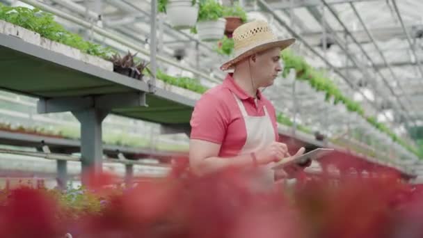 프로페셔널 한 백인 남성이 온실에서 걸어 나가는 태블릿을 가지고 있어. 붉은 꽃들이 앞에서 자라고 있다. 글 라이스 하우스에서 일하는 남성 생물학자의 초상화. 생활 방식, 농업, 농학. — 비디오