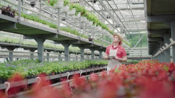 Široký záběr sebevědomého biologa kráčejícího ve skleníku s tabletou. Portrét profesionálního bělocha rozhlížejícího se po rostlinách a kontrolujícího informace v přístroji. — Stock video