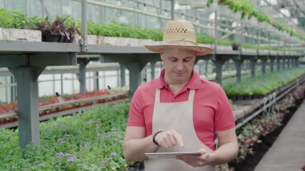 Middle shot portrait of confident man in straw hat typing on tablet and showing thumb up. Professional Caucasian male biologist working in greenhouse. Agronomy, gardening, job, joy. — Stock Video