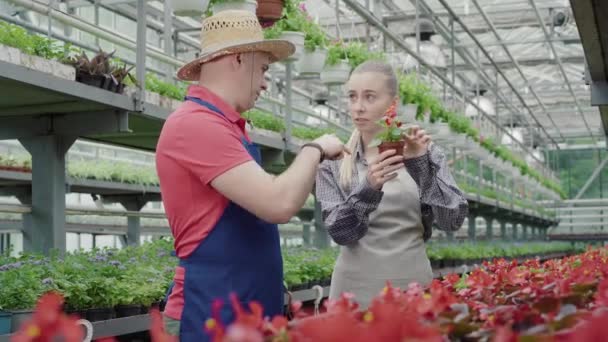 Blanke man en vrouw discussiëren over bloemen in de kas en handen schudden. Portret van professionele mannelijke en vrouwelijke biologen die in het hothouse werken. Werk, levensstijl, vertrouwen, beroep. — Stockvideo