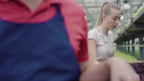 Onherkenbare man zwaaiende hand en verlaten, geïrriteerde jonge blanke vrouw controleren planten in de kas. Portret van ontevreden blanke vrouwelijke bioloog beargumenteerd met mannelijke collega in hothouse. — Stockvideo