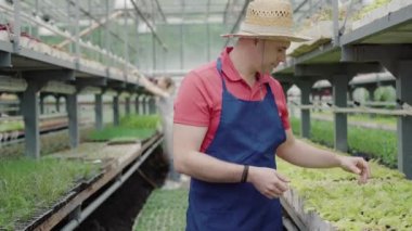 Arka planda çiçekleri kontrol eden bulanık genç bir kadın olarak ön taraftaki yeşil bitkilere bakan orta yaşlı, beyaz bir adam. Serada çalışan iki profesyonel biyolog..