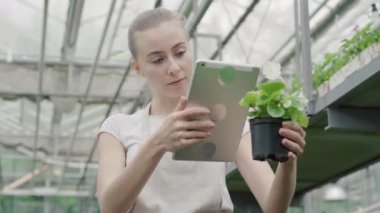Genç bir kadın seradaki bitkileri tabletle kontrol ediyor. Beyaz kadın biyolog çiçek kökeni tanımlamak için modern teknolojileri kullanıyor..