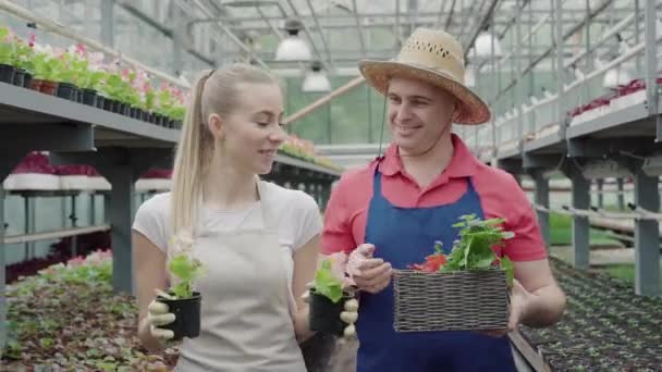 Biólogos masculinos e femininos caminhando em estufa com flores e conversando. Retrato de caucasiano homem médio-adulto positivo e mulher jovem conversando e sorrindo como passear com plantas na estufa . — Vídeo de Stock