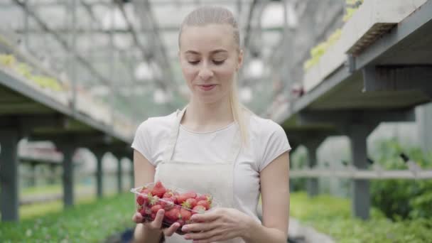 아름다운 백인젊은 여성이 딸기를 들고 온실 상자에 서서 카메라로 웃고 있습니다. 전문적 인 암컷 생물학자를 대접하는 장면. — 비디오