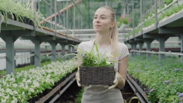 Portrét šťastné mladé ženy, kráčející s květinami ve skleníku. Střední snímek blonďaté bělošské bioložky, která si užívá práci v hospodě. Přírodní krása, bylinková medicína, životní styl. — Stock video