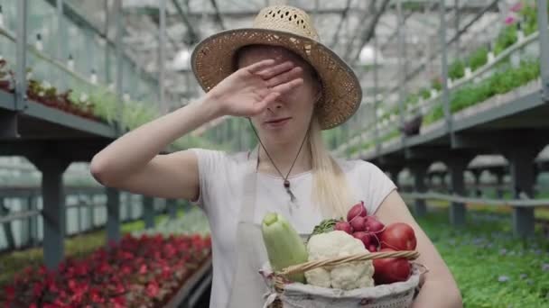 Underbar smal vit kvinna i halmhatt torka pannan med handen som står i växthus. Porträtt av vacker trött ung flicka poserar med grönsak korg i hothouse. — Stockvideo