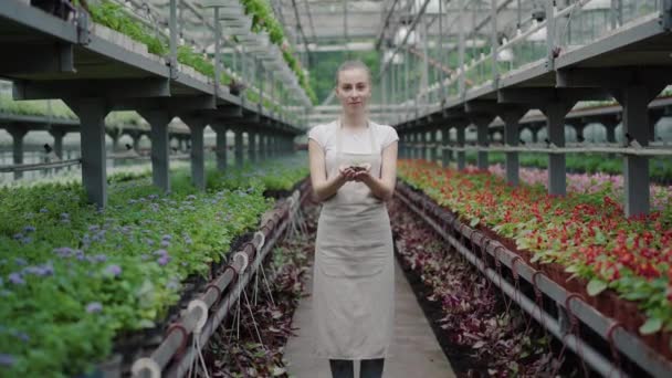 Camera nadert slanke blanke vrouw die aarde vasthoudt met groene spruit in handen. Portret van een glimlachend mooi meisje in schort poserend met organische plant in kas. Concept kruidengeneeskunde. — Stockvideo
