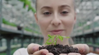 Arka planda genç bir kadının bulanık yüzüyle yeşil bitkinin kadın ellerinde yakın plan çekimi. Serada fidelerle poz veren güzel bir çevreci. Çevre koruma, ekoloji kavramı.