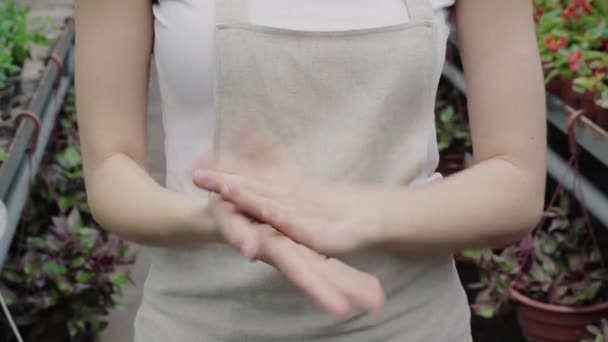 Close-up handen van onherkenbare slanke vrouw in schort poseren in kas. Jong blank meisje dat vuil van handen schudt na het werk. Levensstijl, agronomie, tuinieren, landbouw. — Stockvideo