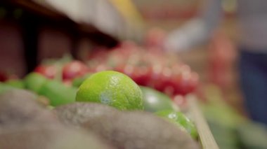 Marketteki raftan yeşil turunçgil meyvesi alan tanınmamış bir kadın. Genç beyaz kız süpermarkette sağlıklı yiyecekler seçiyor. Veganlık kavramı, vejetaryen yaşam tarzı..